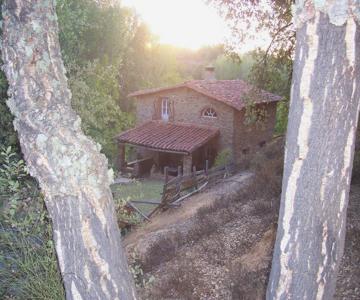 Casas El Alamillo- El Castañero
