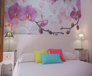 Apartamento Catedral Centro