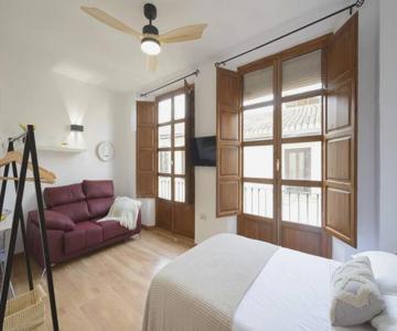 Apartamento Granada Catedral