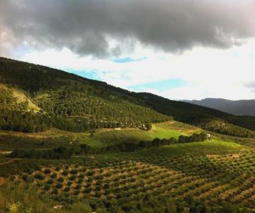 Casa Dehesa San Cristóbal, Jaén