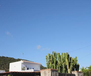 Ocean View -