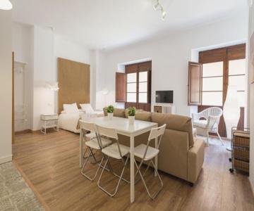Santiago Premium loft I