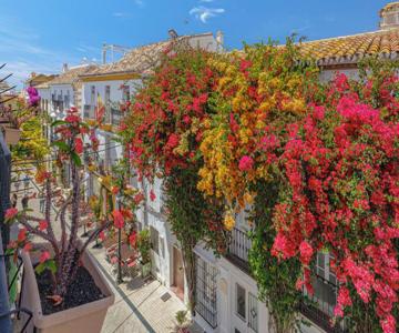 Casa Ancha 10