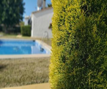 Del Parque Flats Picasso Townhouse