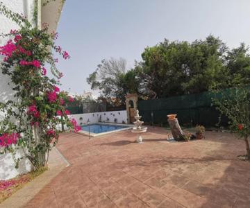 Entre pinos y playa