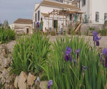 New Leaf Cortijo Apartment ,Moclin