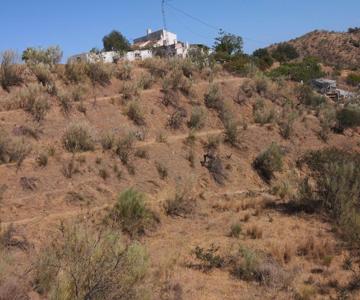 Finca La Pimienta