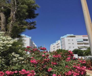La Perla Azul Playa - Terraza al Sol