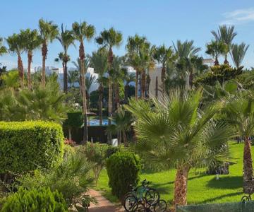 Discover perfect beach Apartment, only 300m away