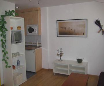 Apartamento En Pistas De Esquí