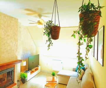 Apartamento Alba