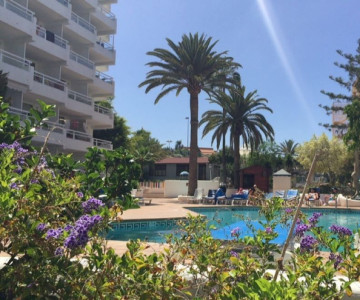 Apartment Tenerife Cosmopolitan