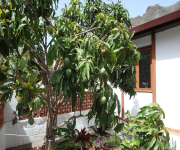 Casa Vera