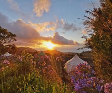 Lotus Yurt