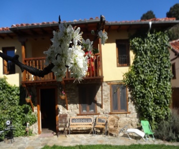La Perezosa & Yoga Hostel