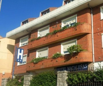 Mataleñas