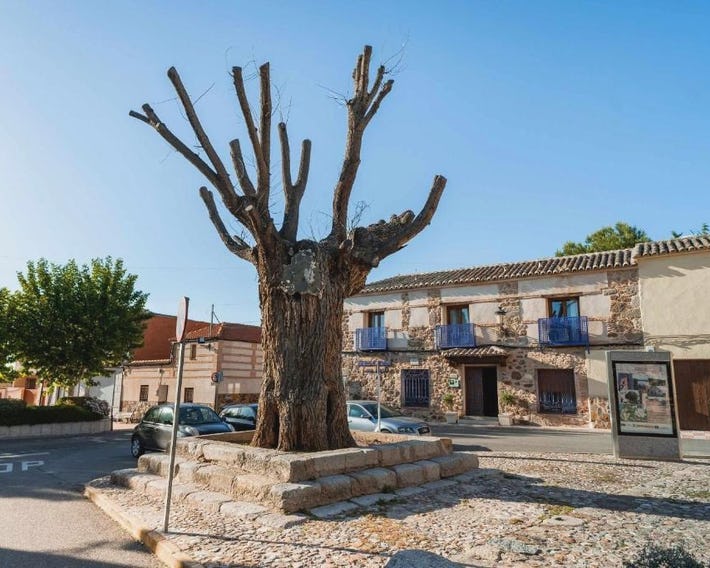 Casa Rural Álamo Grande