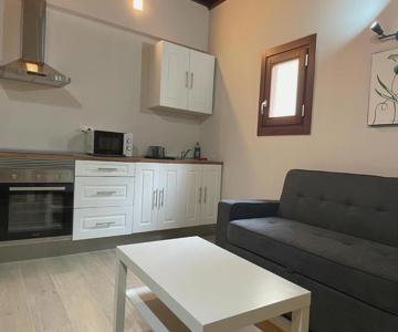 T2 Apartamento En Toledo Centro