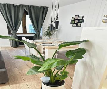 R&R Suite Heritage