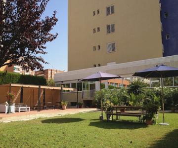 Estrella de Mar