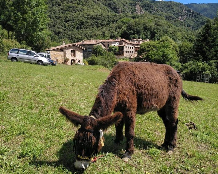 Mas La Cabanya Beget Xalet de muntanya