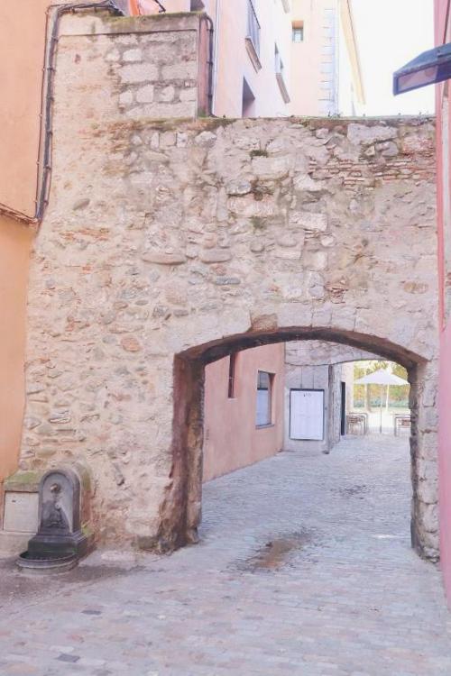 Girona La Lleona