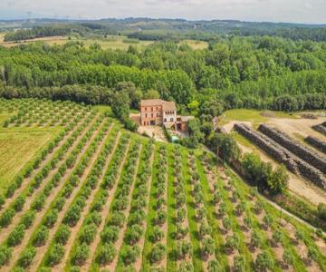 Private Country House With Pool And Barbecue