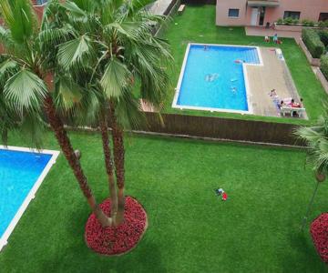 Camelia Apartment