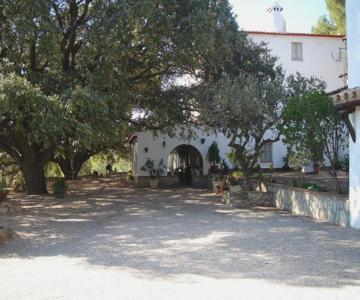 Masia Rural Les Alsines