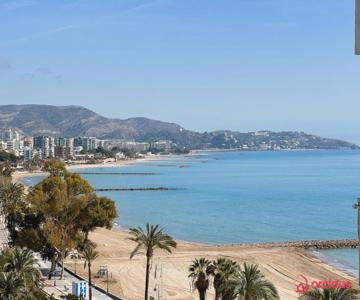Joya Mediterránea