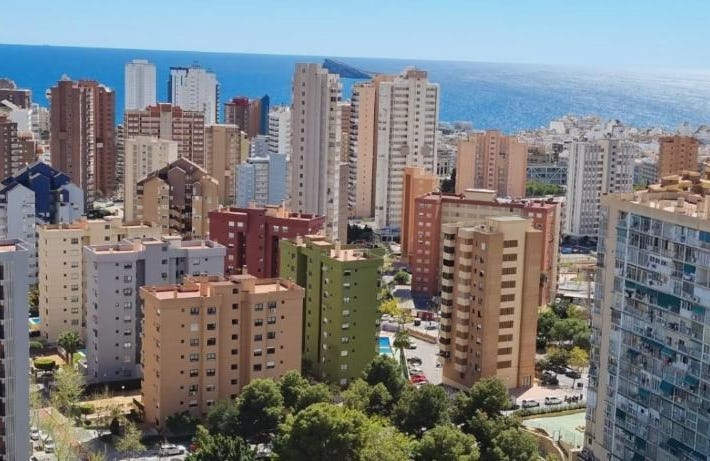 PANORAMIC VIEW