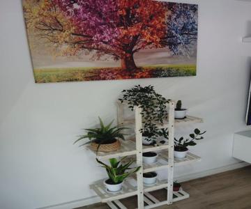 Apartamento Plaza Palmeras
