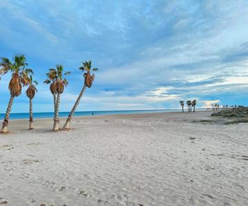 Apartamentos Canet Al Mar.