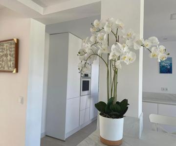 Villa Javea House Tosalet