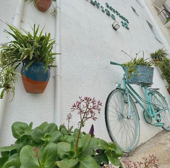 Hostal Boutique Olvido 22 Adults Only