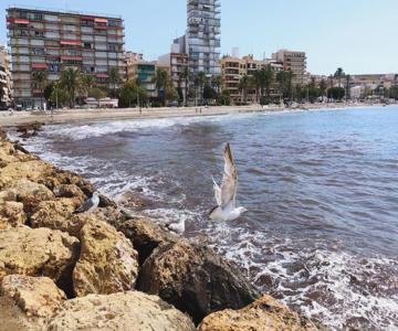 Bright Apartment En Santa Pola