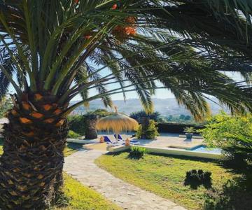 Rustico Appartment 'Olta' in finca, see-and garden side