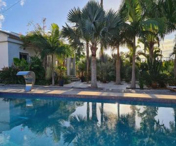 Tropical Paradise Villa In Torrevieja