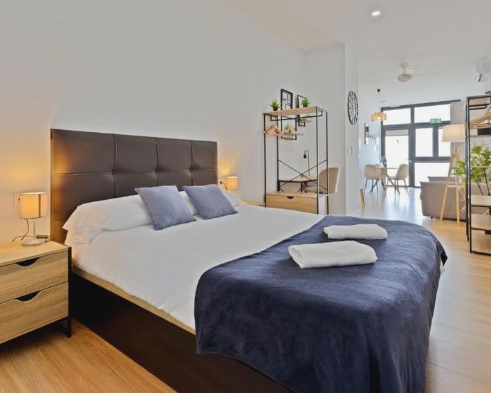 Mono - Modern Apt - Near Bioparc by Río Turia Apartments