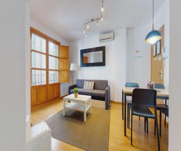 Apartamentos Sorolla House