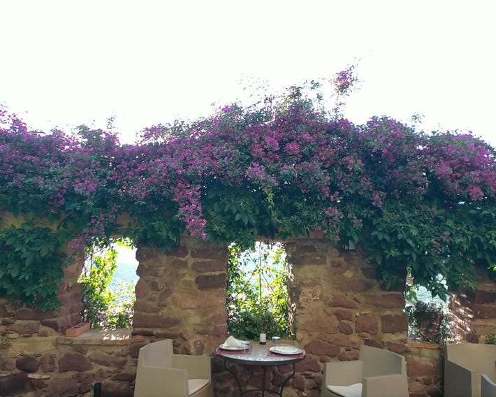 El Jardín Vertical
