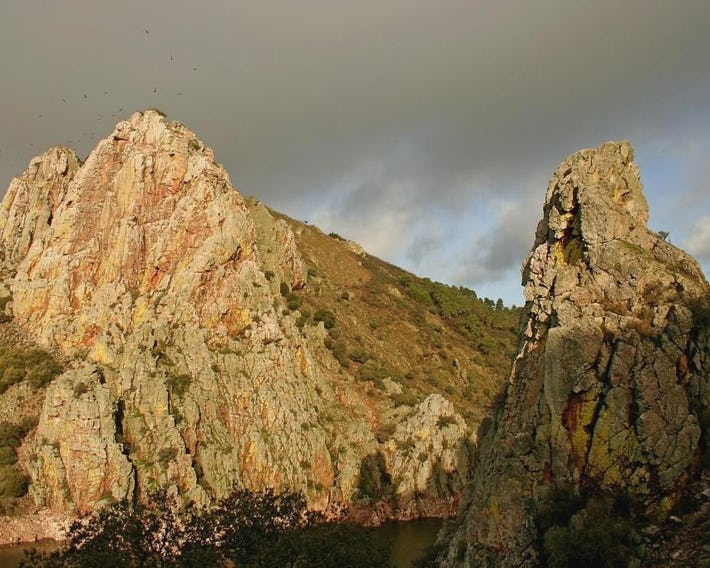 Bungalows Camping Parque Nacional de Monfragüe