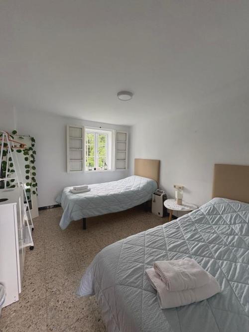 A casa do Rio - The River House