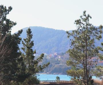 Apartamento Langosteira