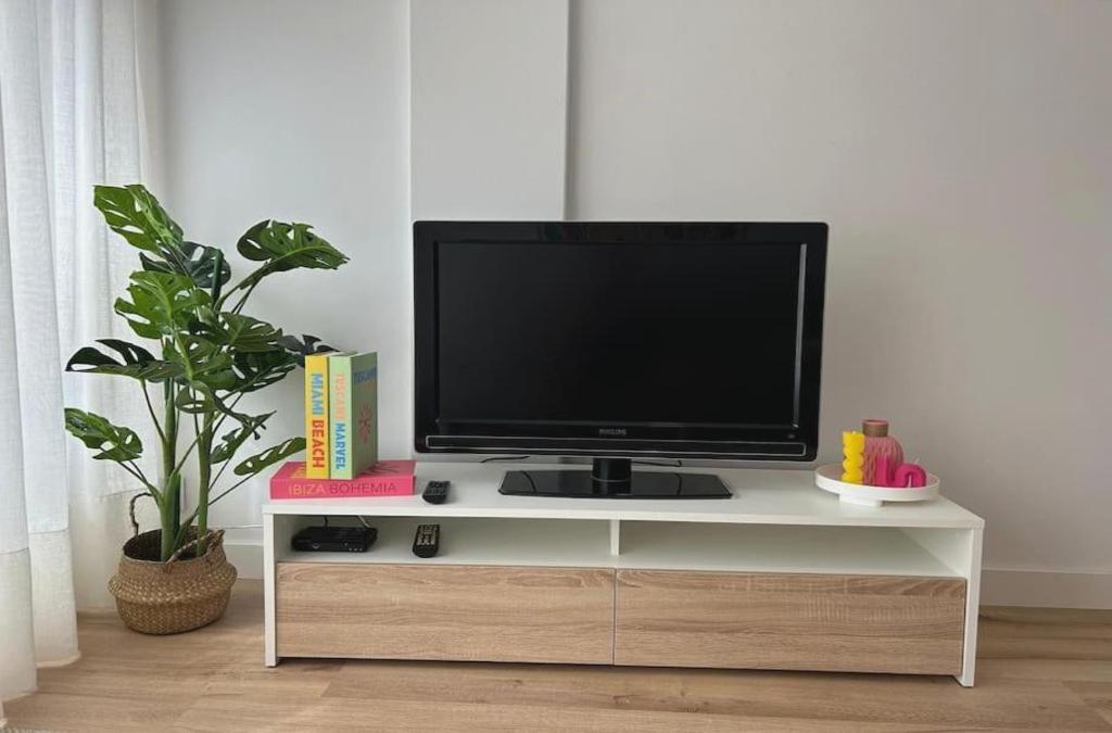 Estudio Camelia