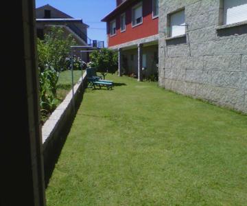 Verde Y Mar