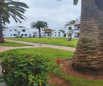 Apartamento colibrí