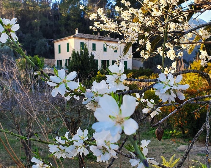 Agroturisme Finca Sa Maniga