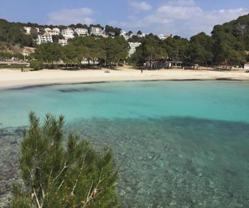 Apartamento Gama 1 Habitación