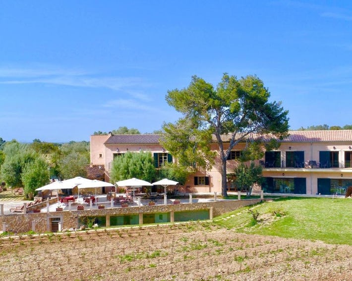 Finca Son Menut